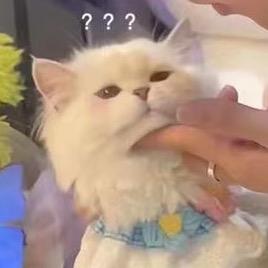 半只柚子_
