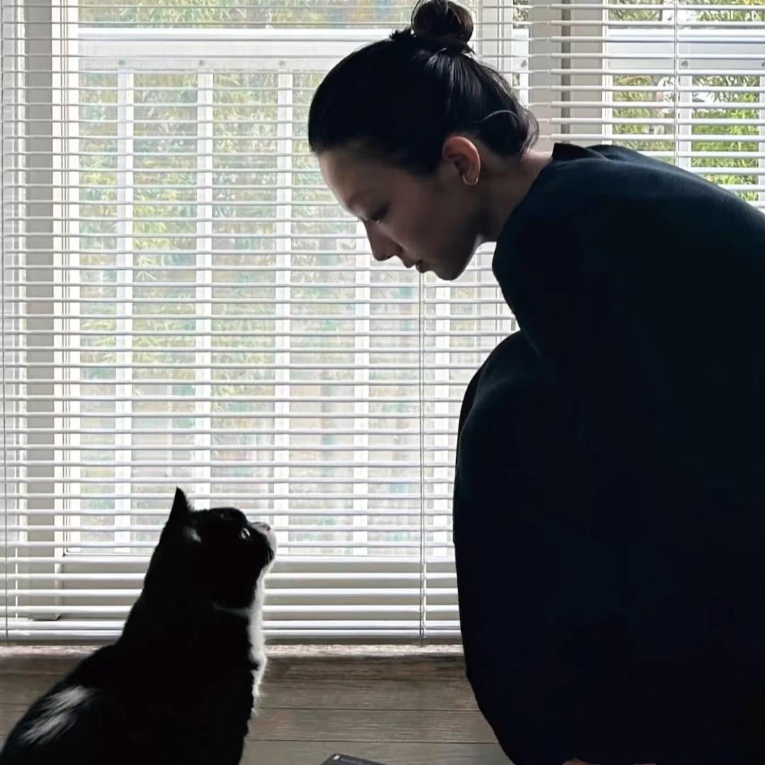 开心果面包没吐司