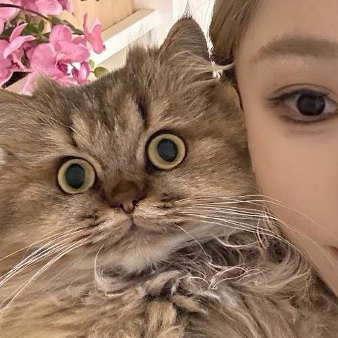 壮崽吃香香