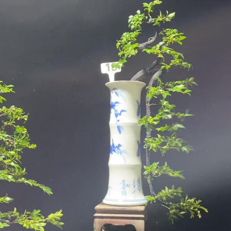 佰渡