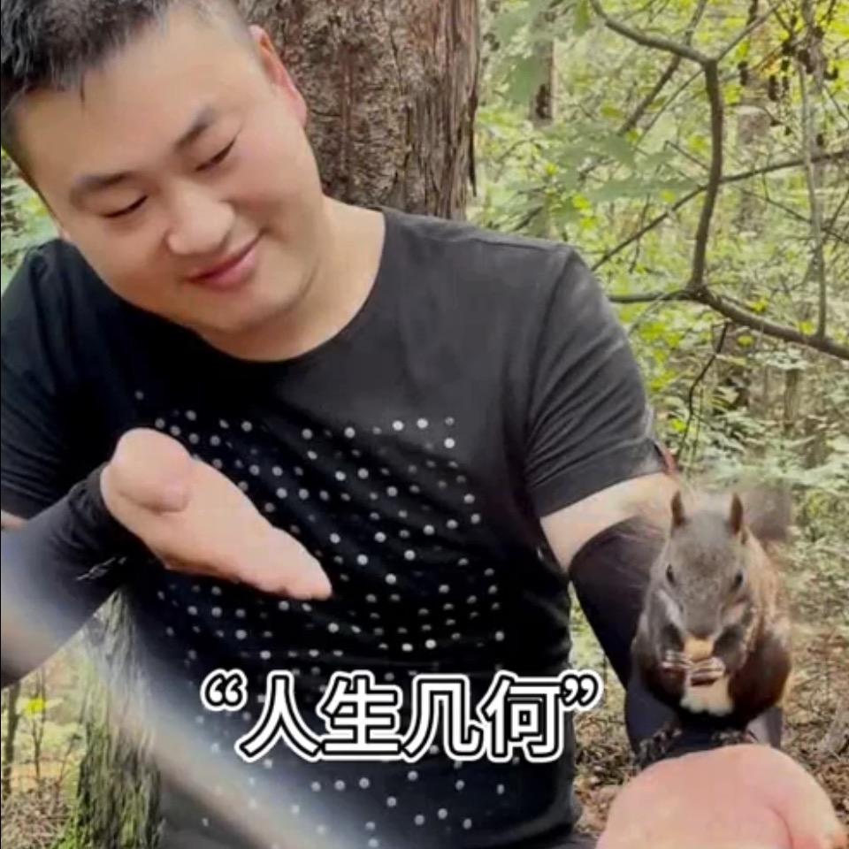 大东北涛