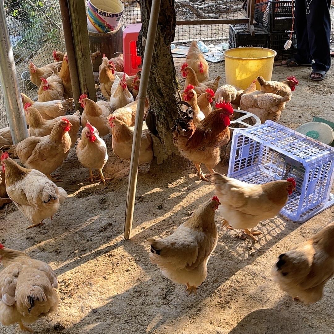 信宜厚裕农品创意屋