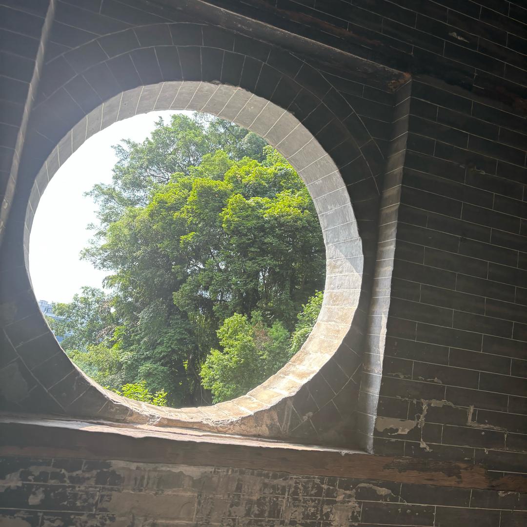 澜清说
