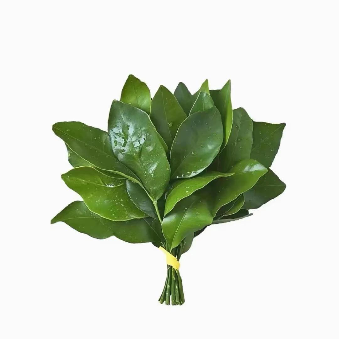 呐呐和墩墩