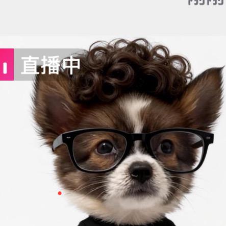 旺旺vlog（五黑犬）