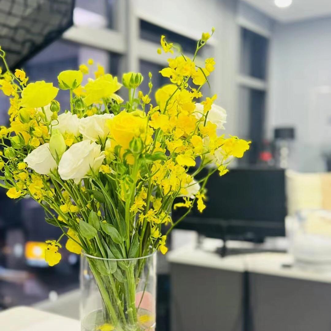 PUREBURNER燃点益生菌