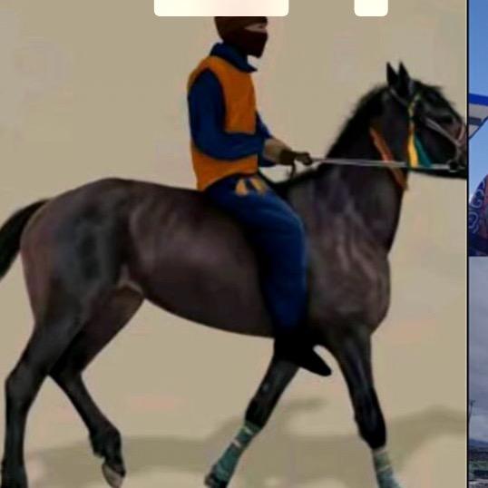 ༺བོད༻马背上的རྩལ།🐎