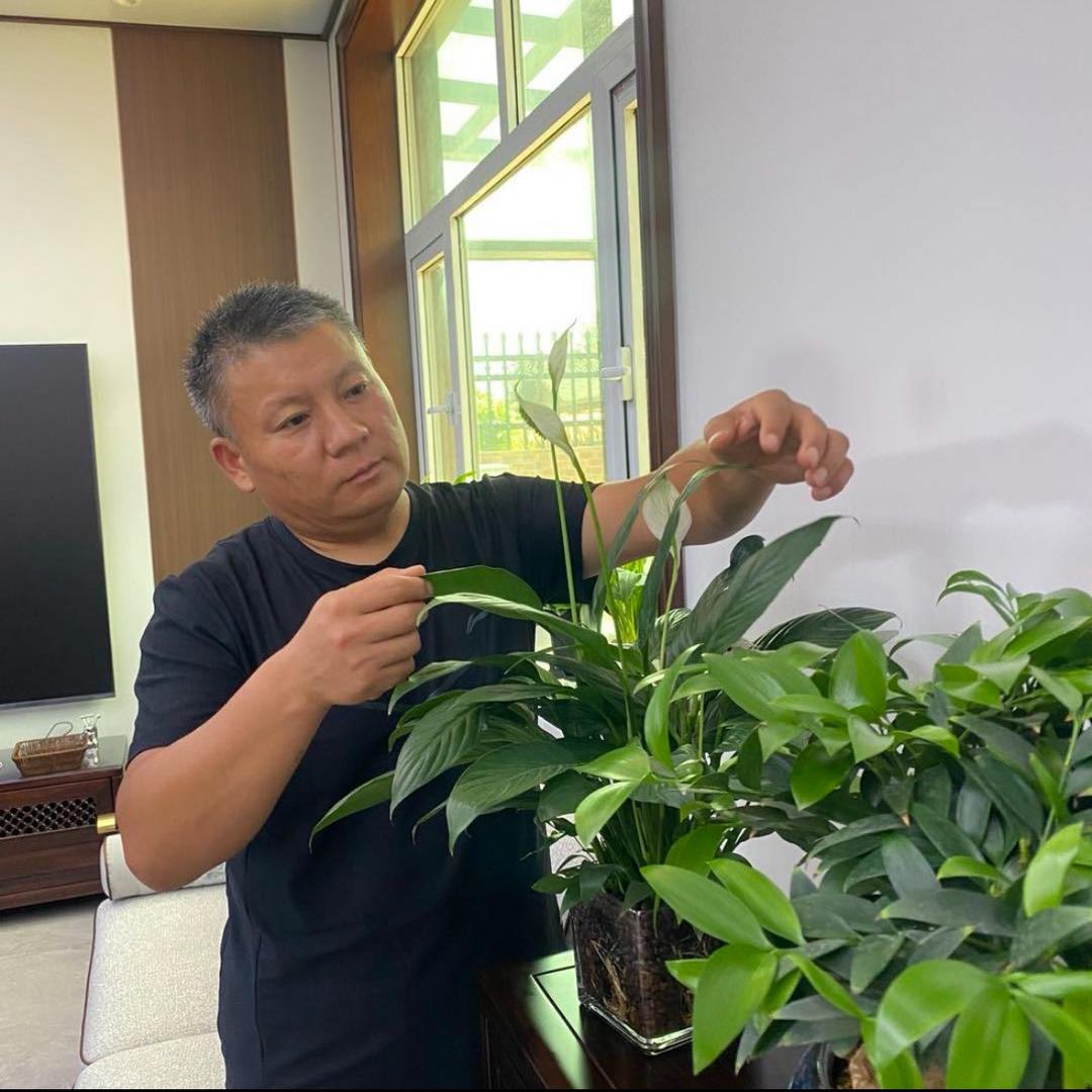 王老师讲种菜