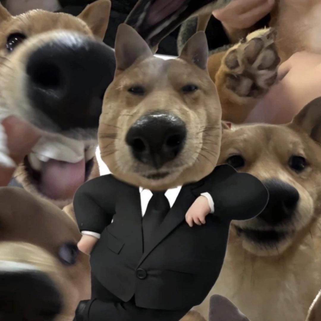 小吕哥数码店铺