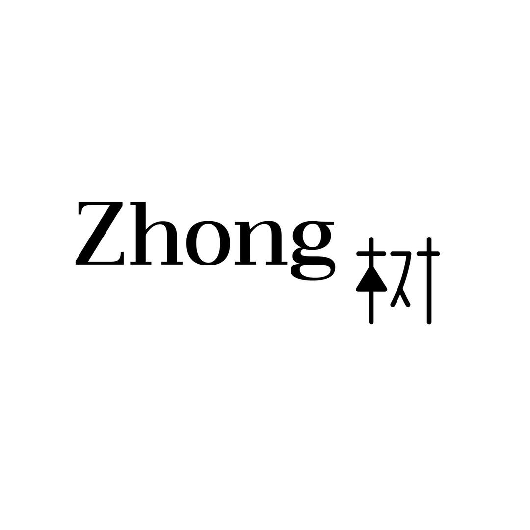 Zhong 树 小众买手女装 kaka鞋