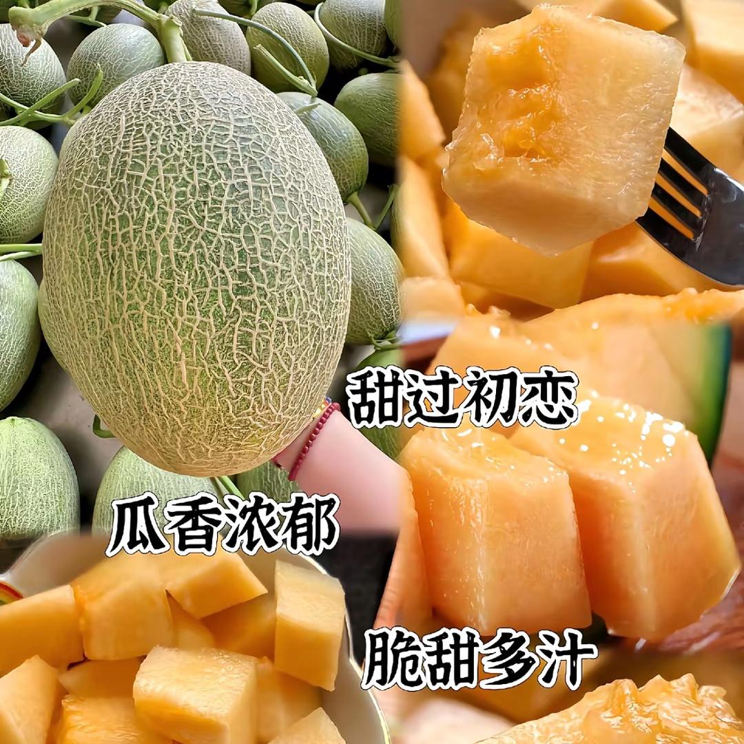 新农人魏龙🥳