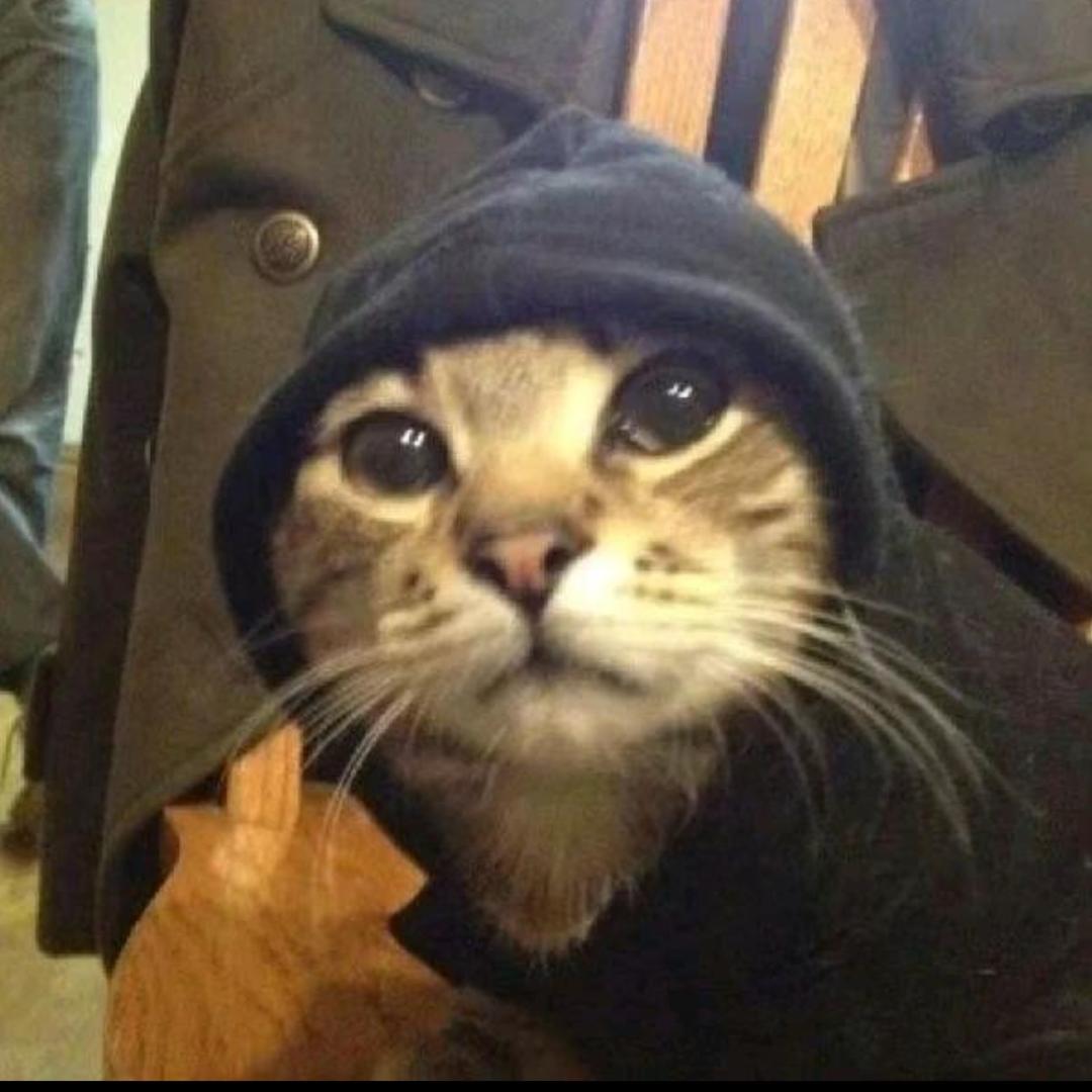 于方达