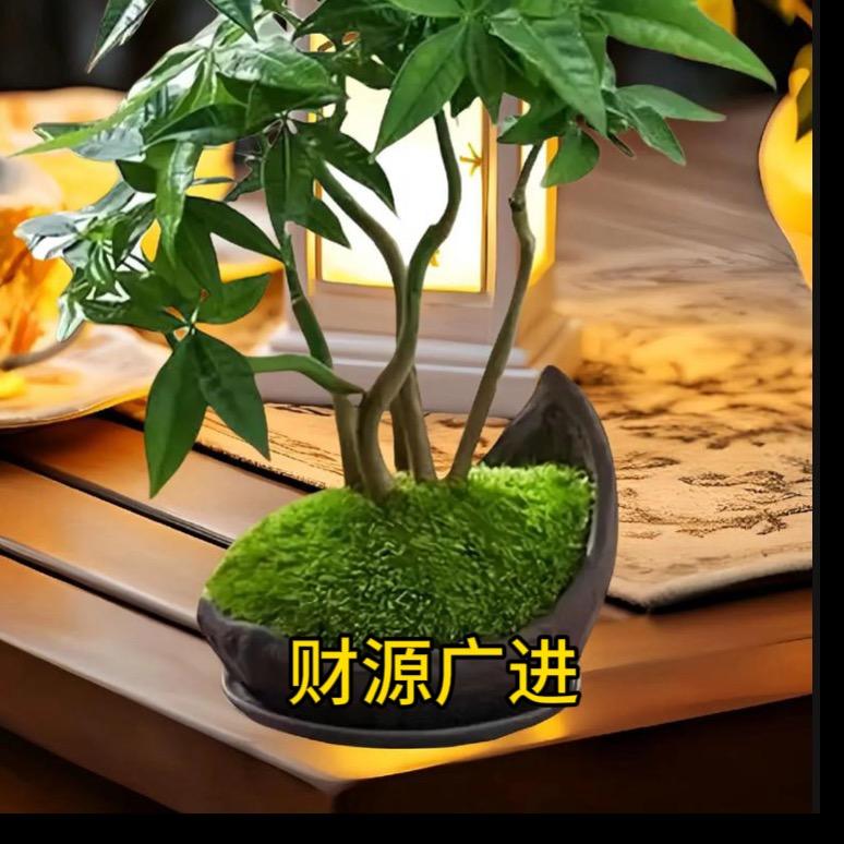 有机甄选