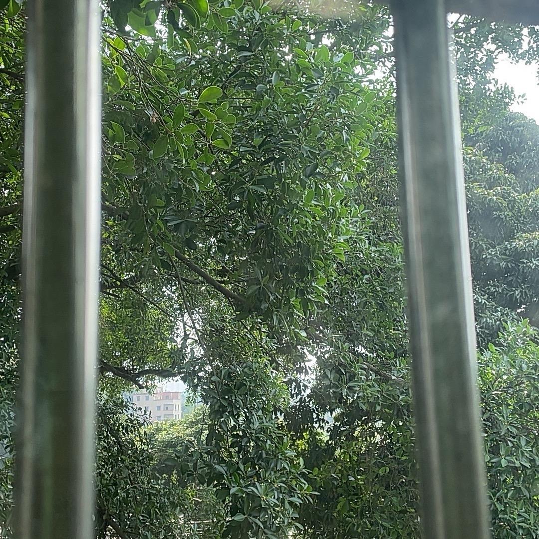 德鑫珠宝—燕子（源头工厂）