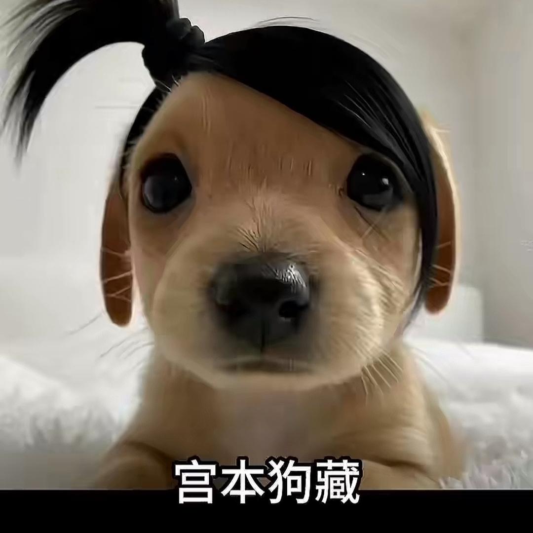 啊麦
