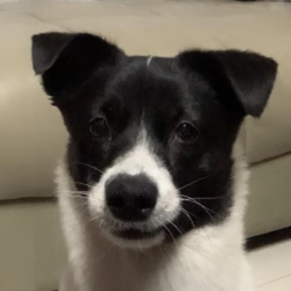 527（见过GEM✖️3版）