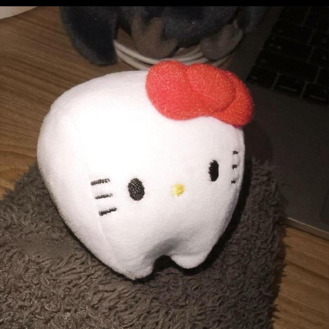 笨蛋