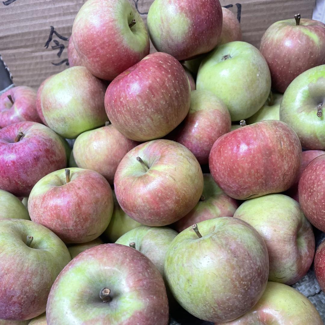 山东小国光苹果