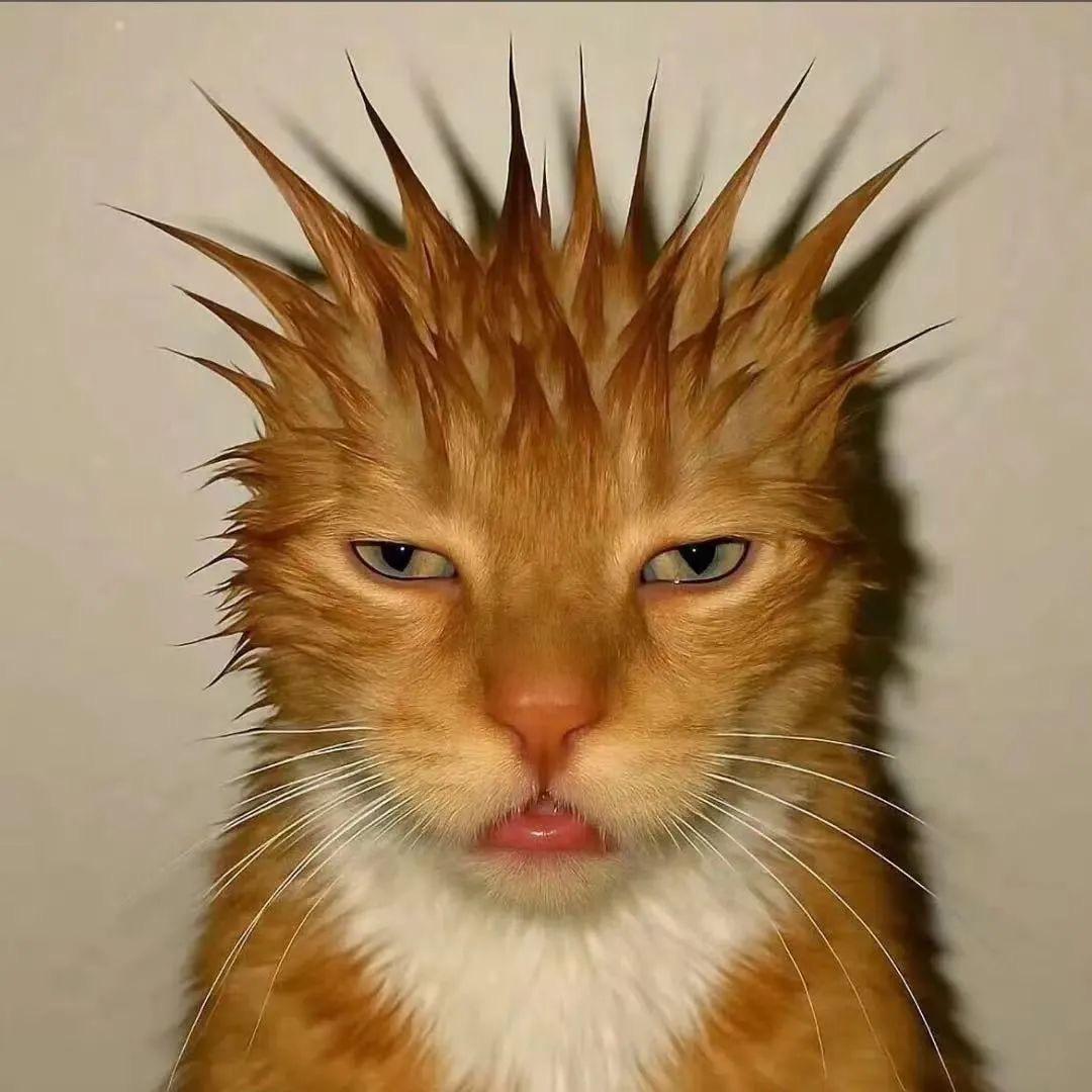 ▞▙▛▖▜▖▗▝ ▞▙▛▖▜▖▗▝ ▞▙