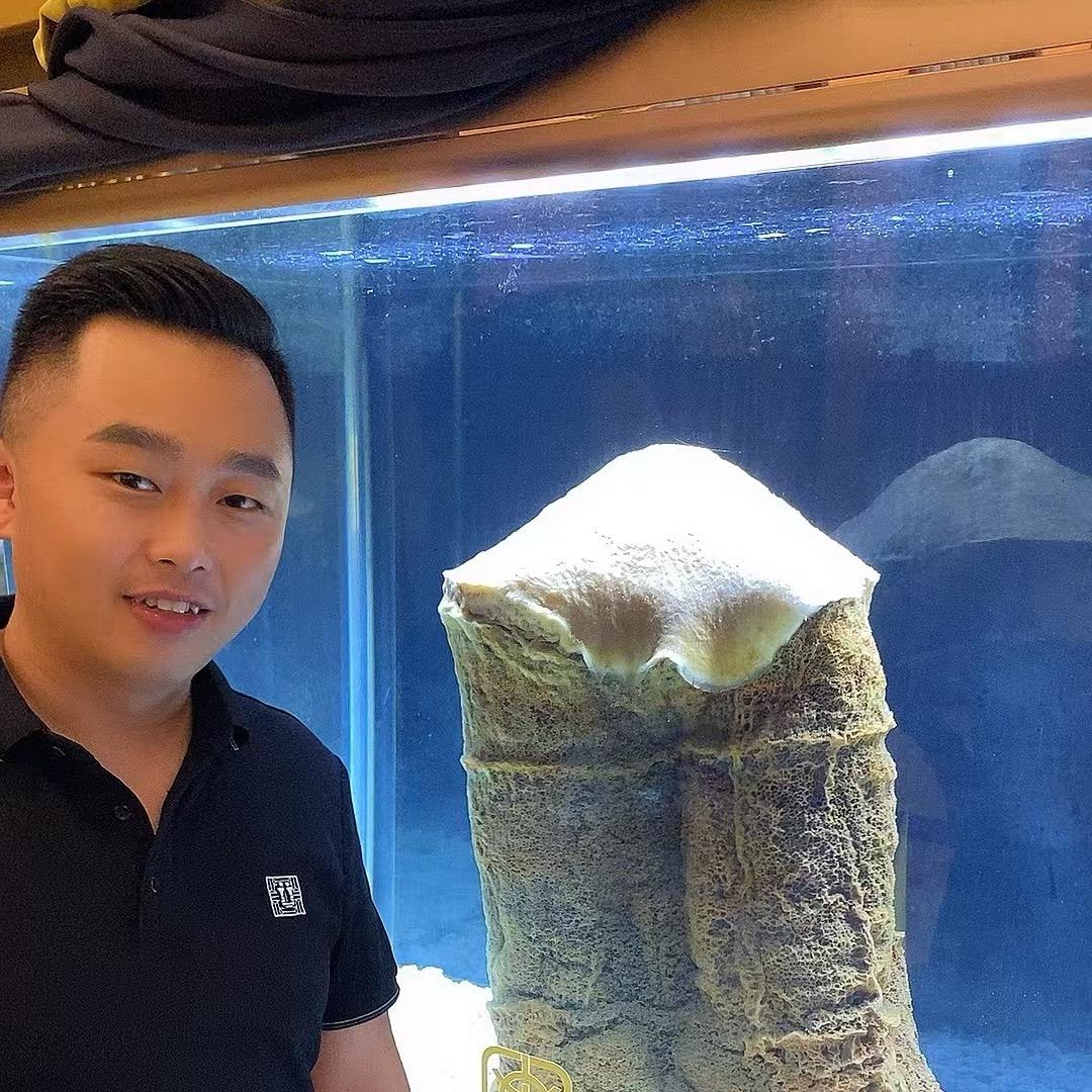 阿母的山货日记