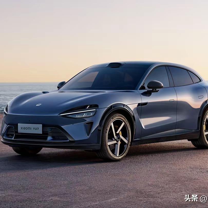 老熊和电车