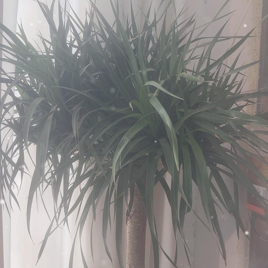 泉友币社