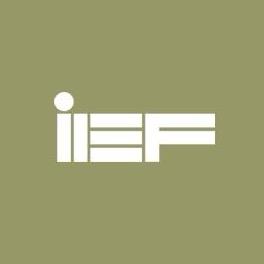 IEF-爆品返场