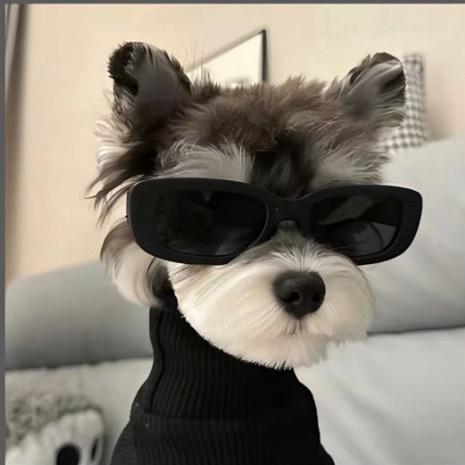 貳股眼🚶‍♂️