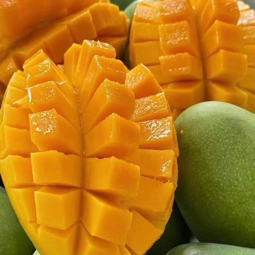 鲜果多供应