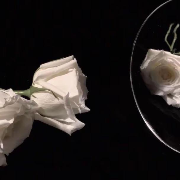 上海策丰文化传媒有限公司