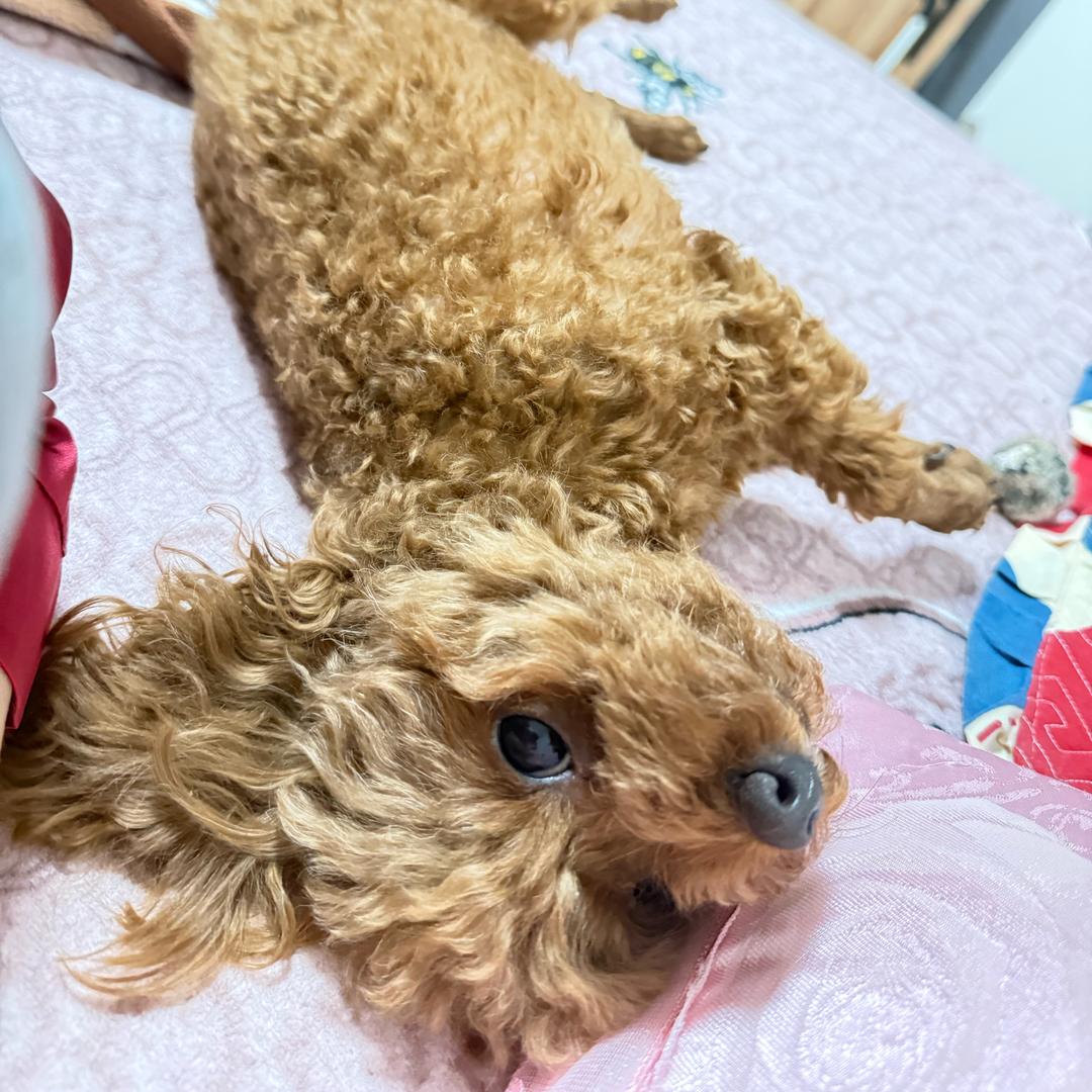 琪琪琪