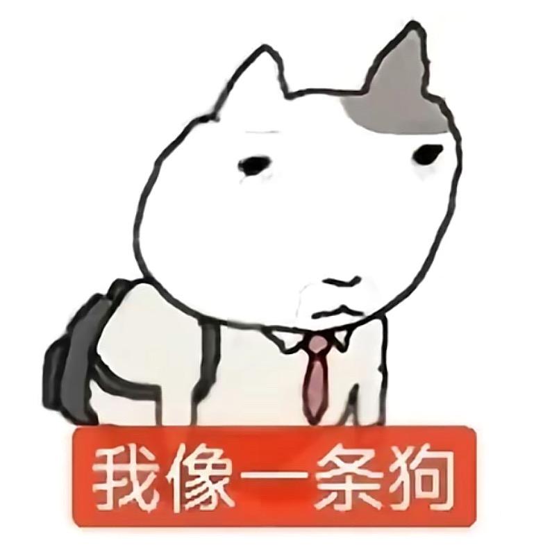 临时工幻想当主管吊组长