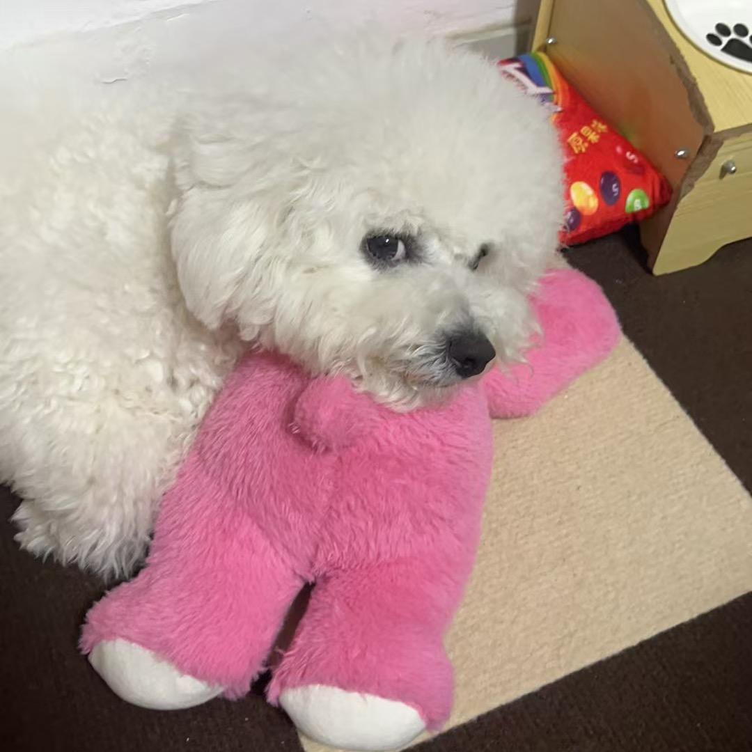 宠满喜汪-宠物生活馆