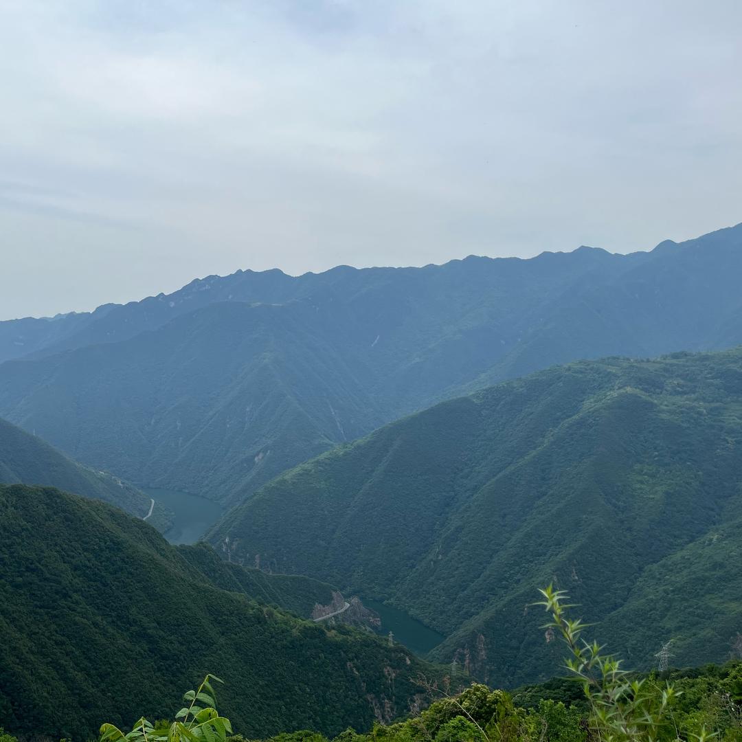毛毛