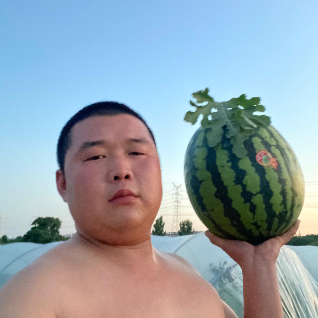 陕西胖娃   《刘先生》