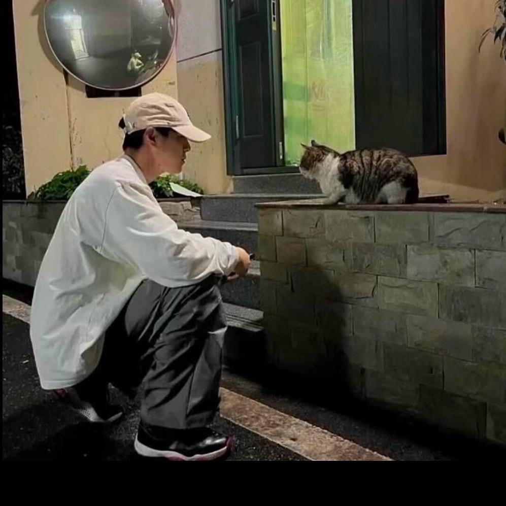 张子