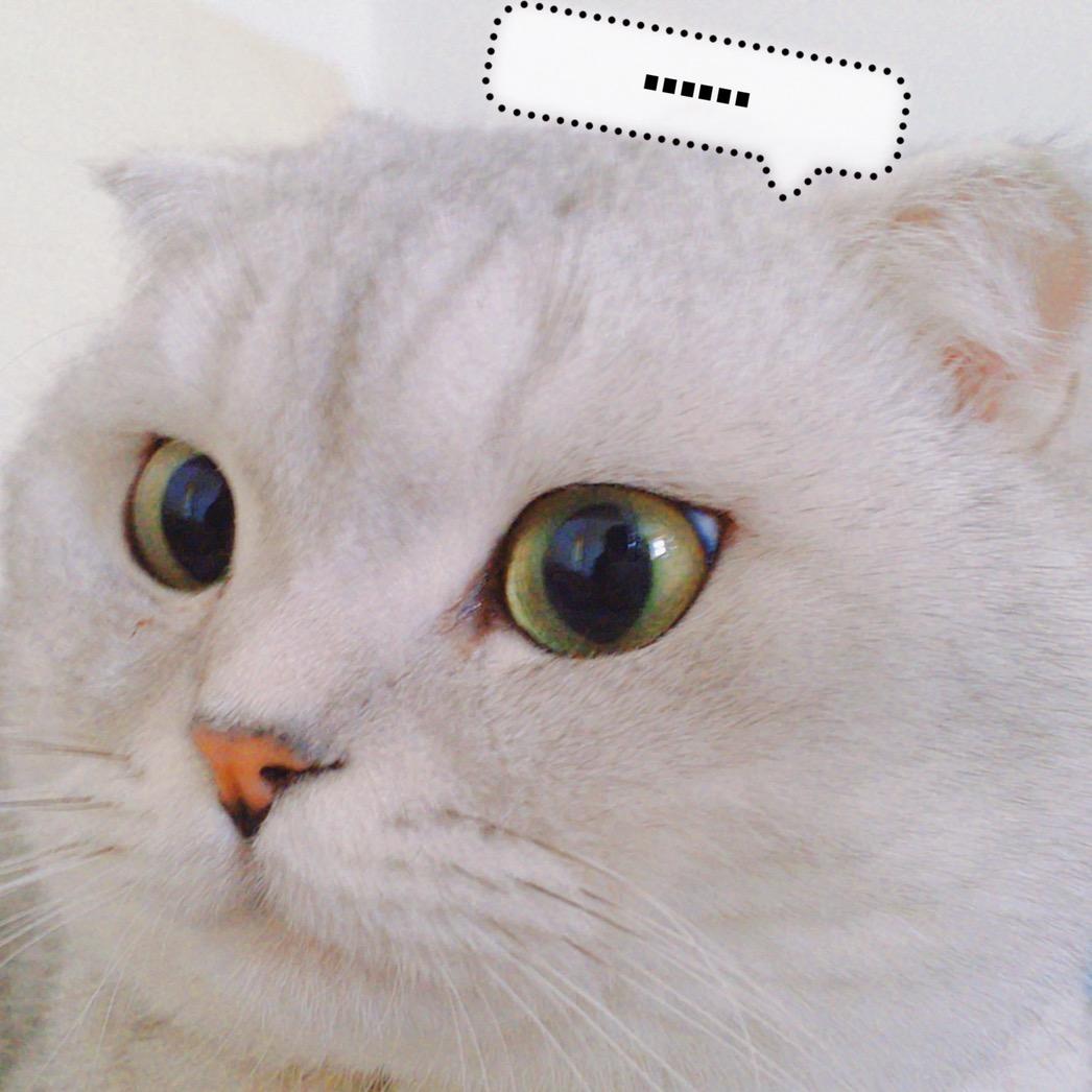 🌈烟火人间轻声言