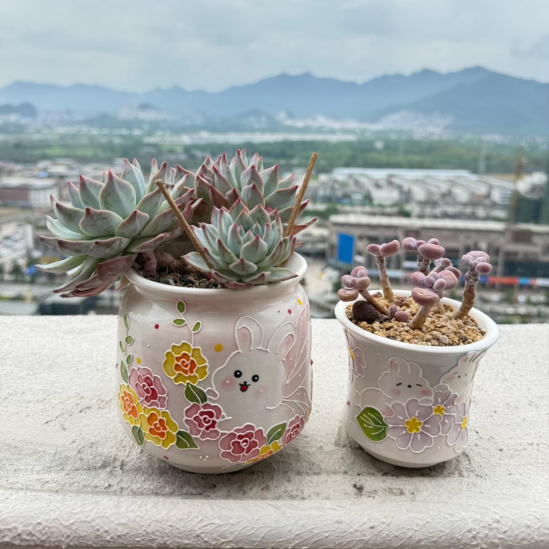 昌江区风山陶瓷工作室立夏手绘陶瓷