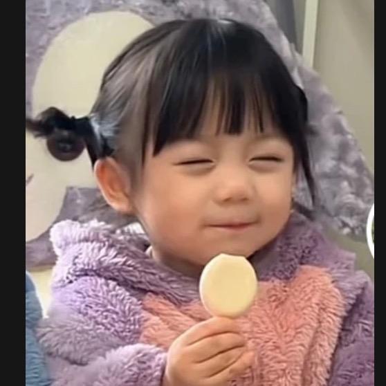 ✨轻罗小扇扑流萤🍀✨