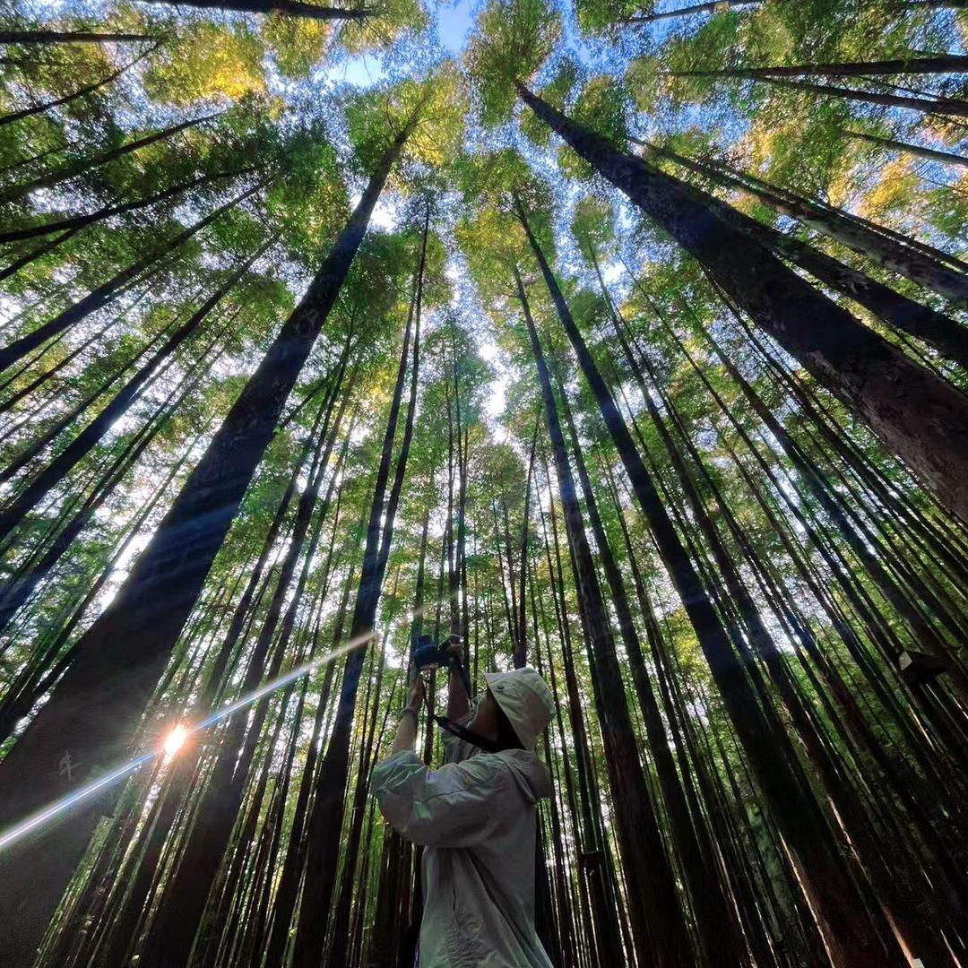心有暖阳ღ向阳而生