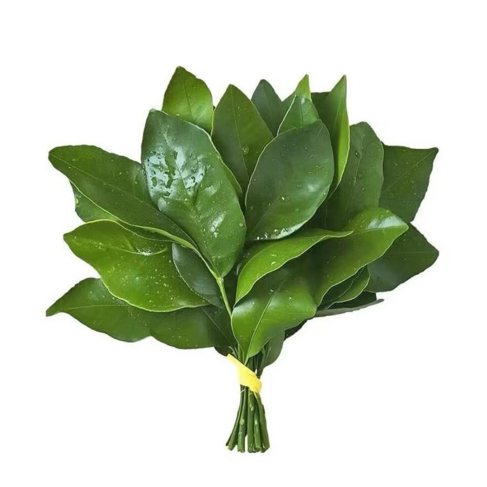 不想睡觉～