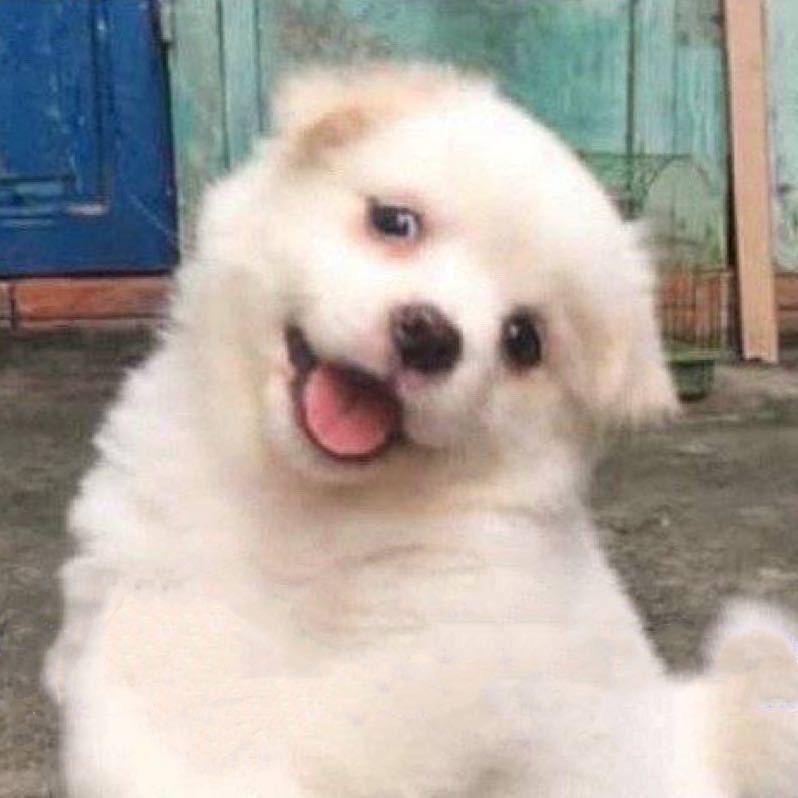 小圈