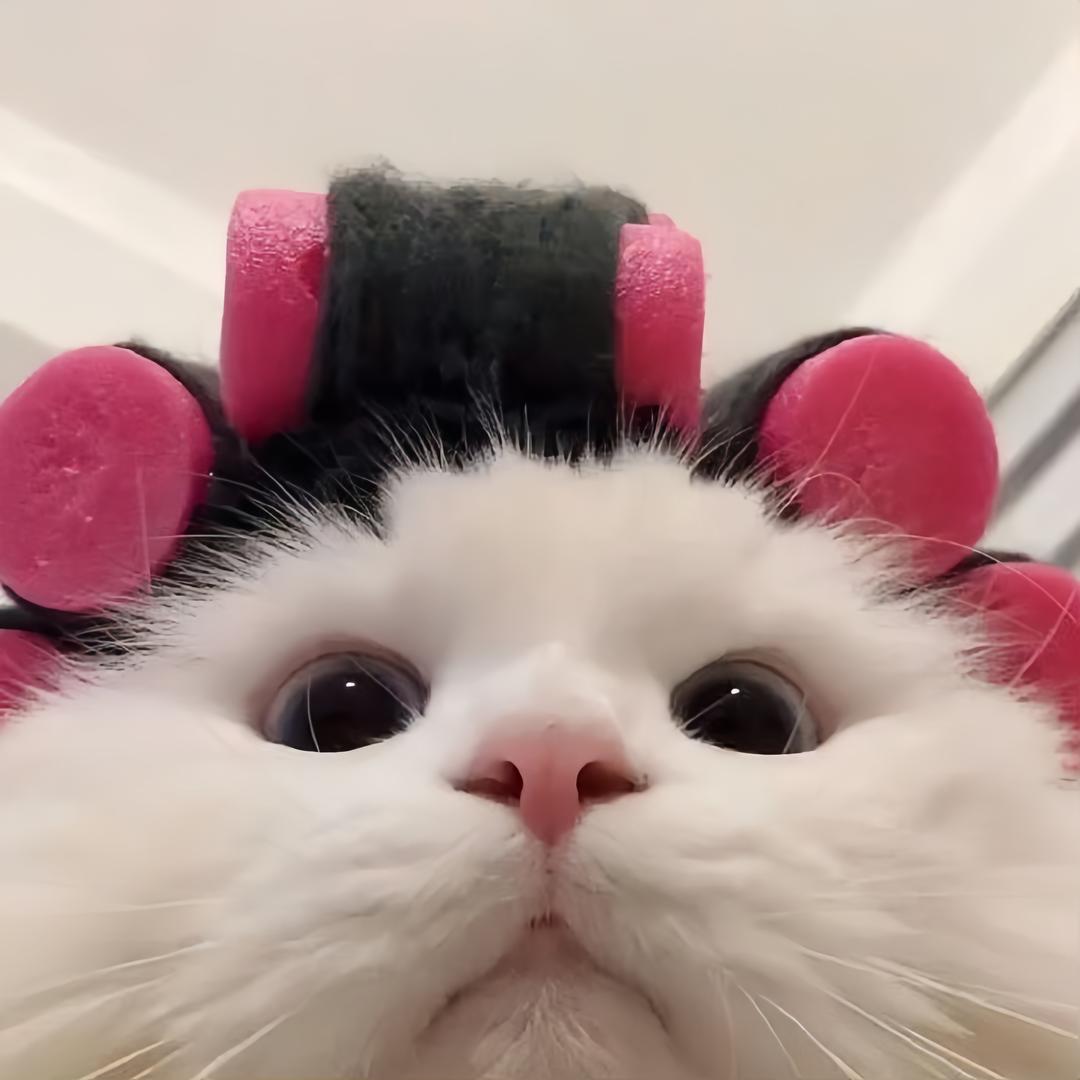ππ