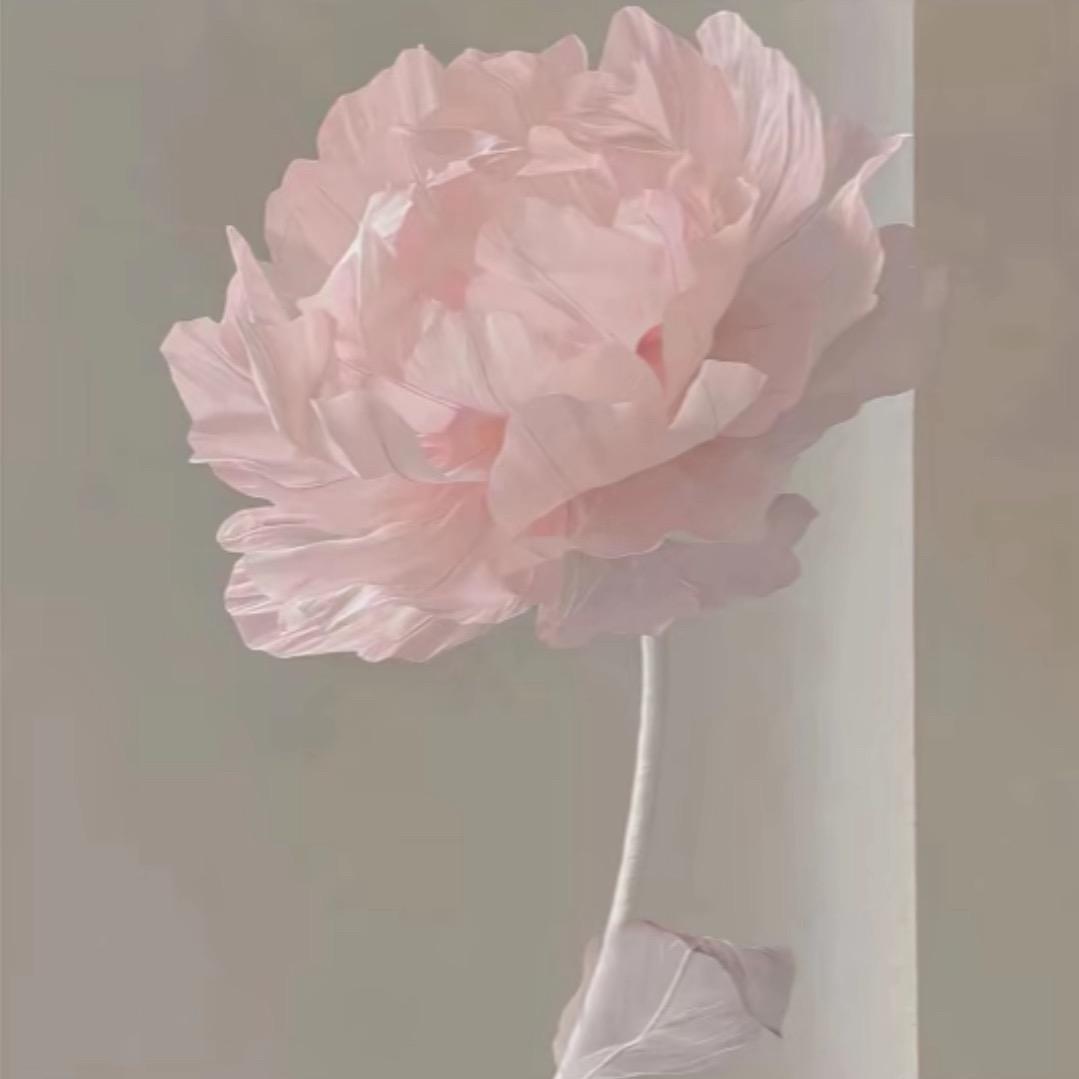 ·金屋藏茜茜