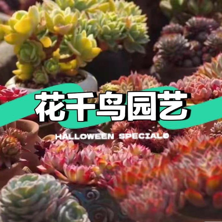 花千鸟园艺