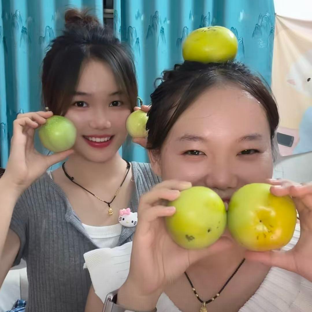 是兔兔呀