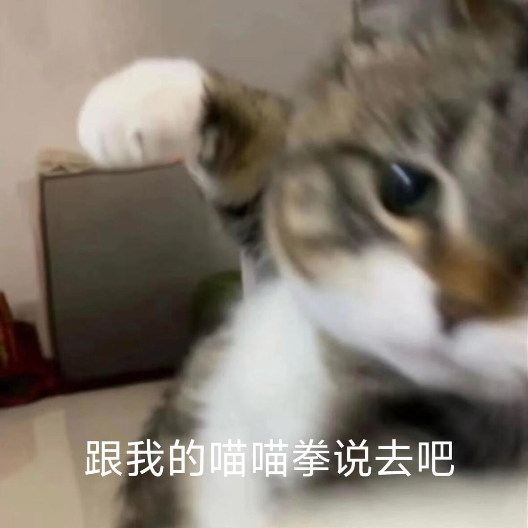 你别太离谱