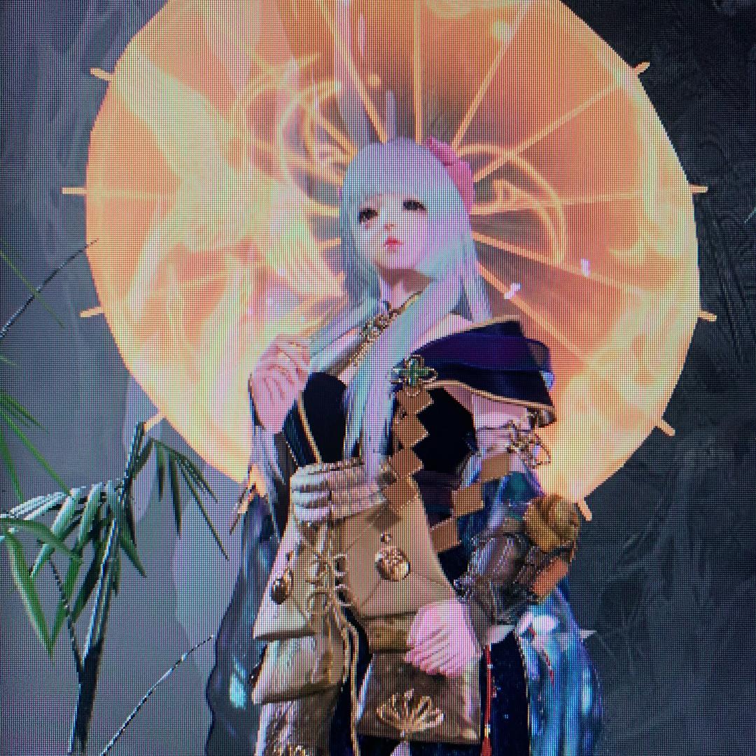 台州鸟神杀猪哥