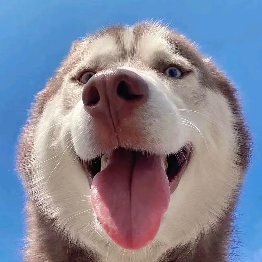溜又段