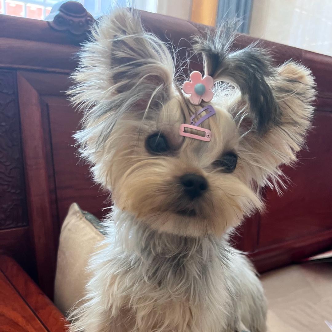 一位来自浙江嘉兴平湖不愿意透露姓名的靓女